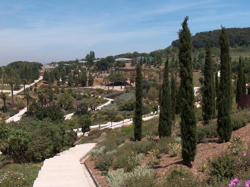 Botanical garden barcelona2