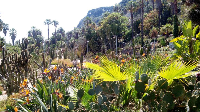 Mossèn Costa i Llobera Gardens