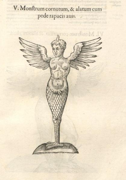 'Horned and Winged Monster' 'Horned and Winged Monster'