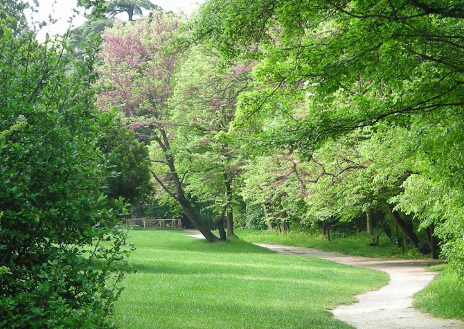 Parco Monte Paderno