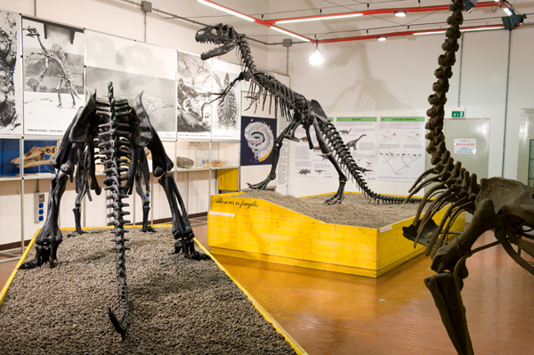 Sala dei Dinoauri