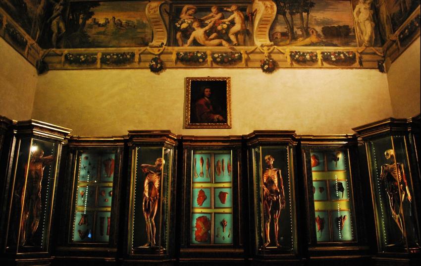 Skeletons in the Gallery of Sciences Skeletons in the Gallery of Sciences