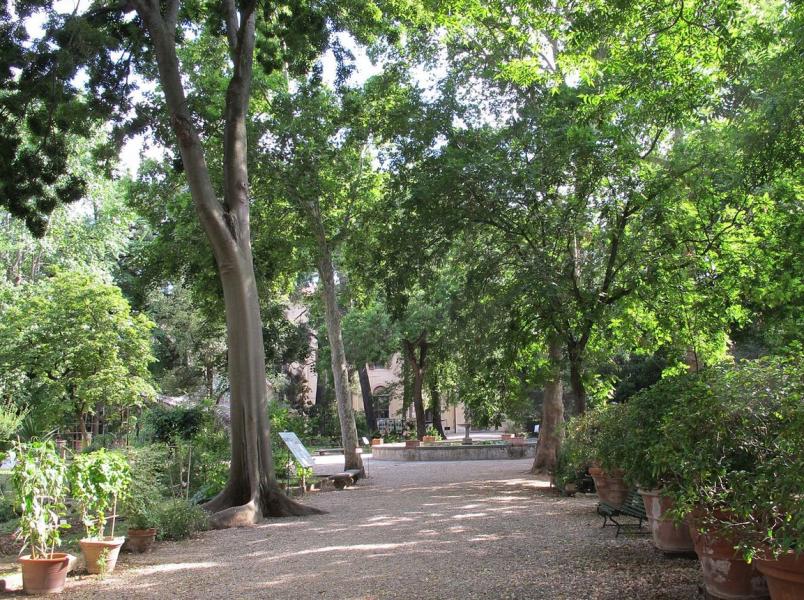 View of the Orto Botanico View of the Orto Botanico
