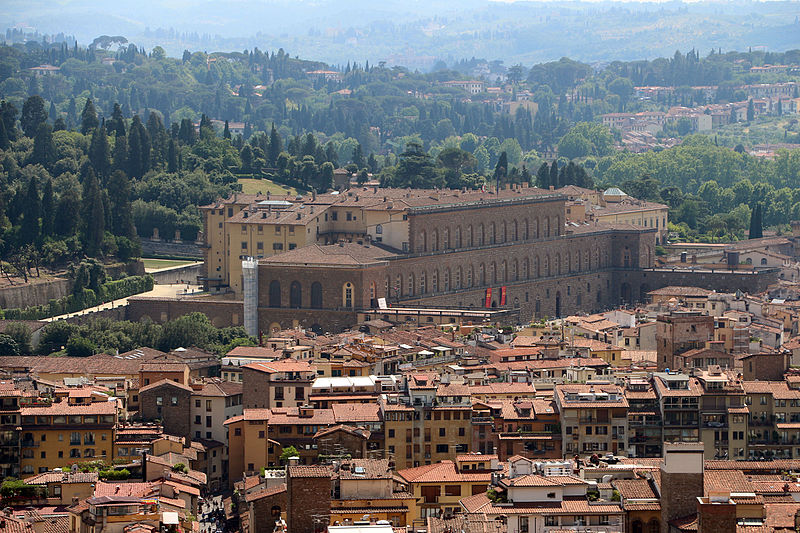 Palazzo Pitti, taken from the Cathedral dome Palazzo Pitti, taken from the Cathedral dome