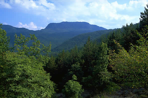 Monte Falterona Monte Falterona