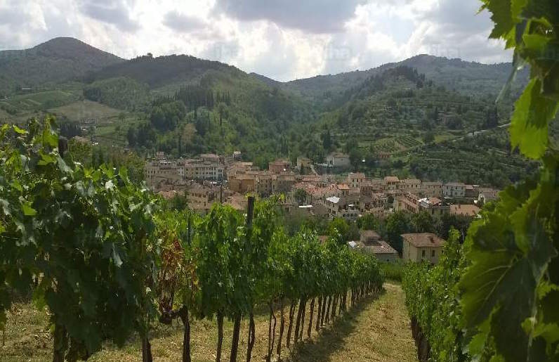 Countryside near Greve