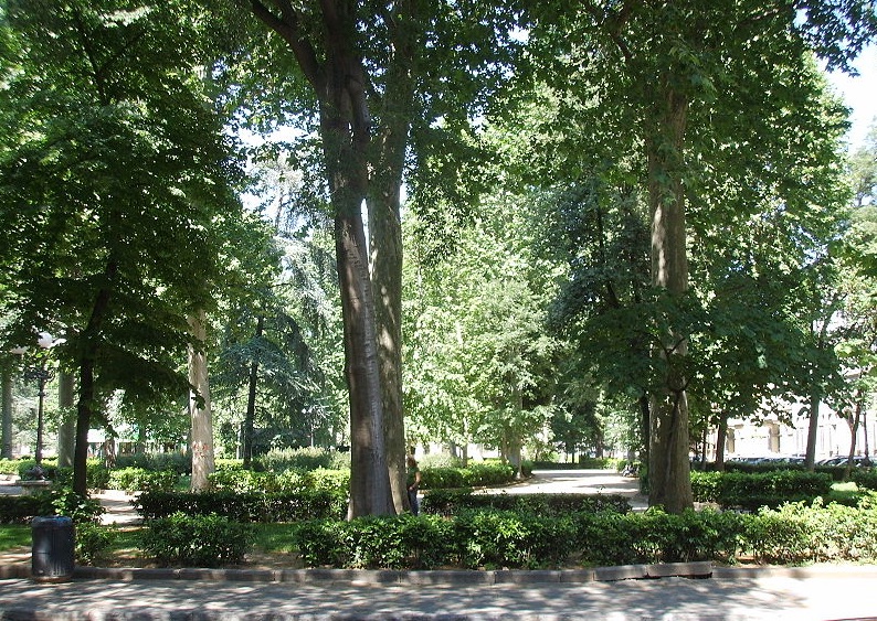 Piazza d'Azeglio Piazza d'Azeglio