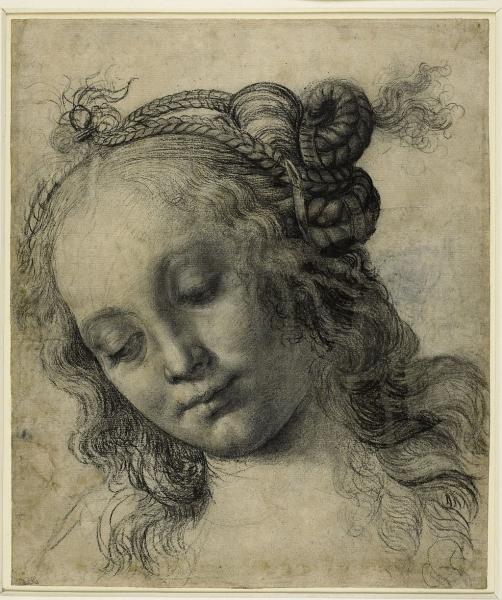 Verrocchio's Head of a Woman, British Museum Verrocchio's Head of a Woman, British Museum