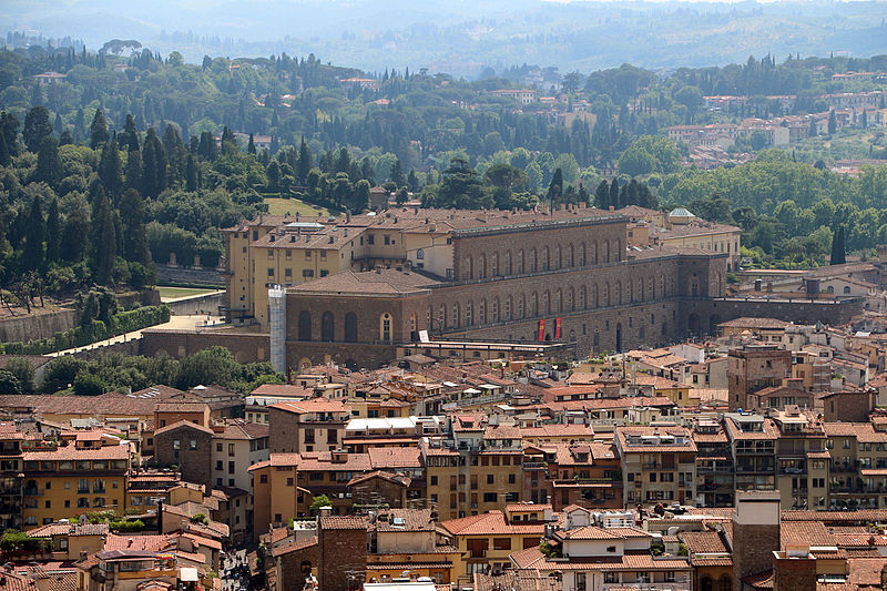 Palazzo Pitti, taken from the Cathedral dome