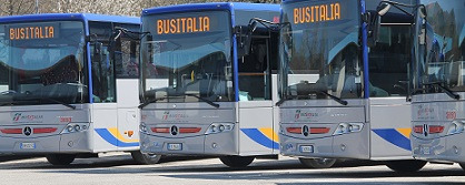 Bus Italia buses