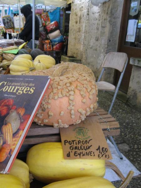 potiron in villefranche market