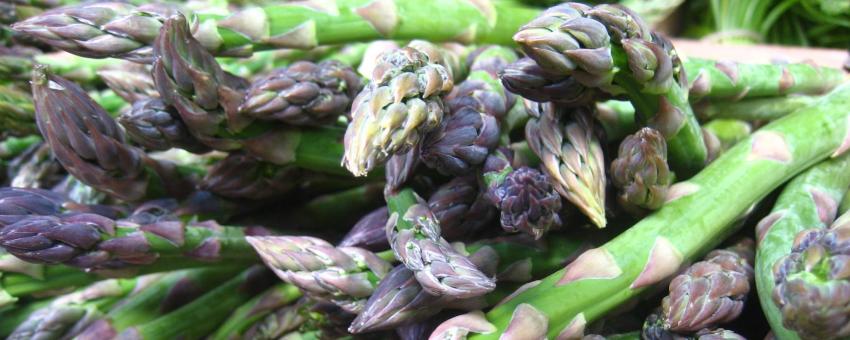 Green asparagus