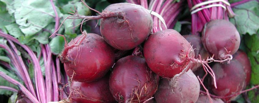 Beets