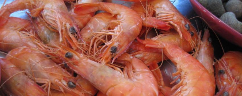 Crevettes cuites servies en apéritif