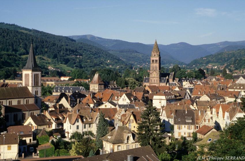 Munster (not Turckheim!) - Alsace - France