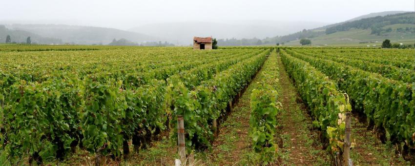 Burgundy, France