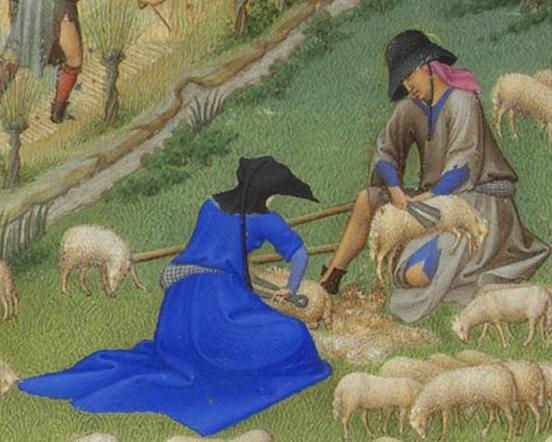 Les Très Riches Heures du duc de Berry juillet sheep shearing