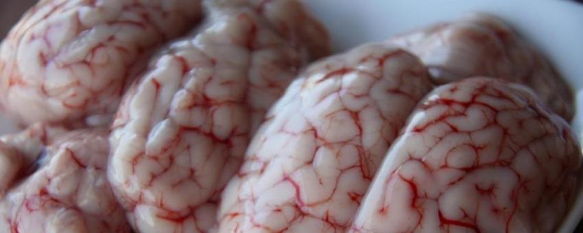 Brains of Lamb