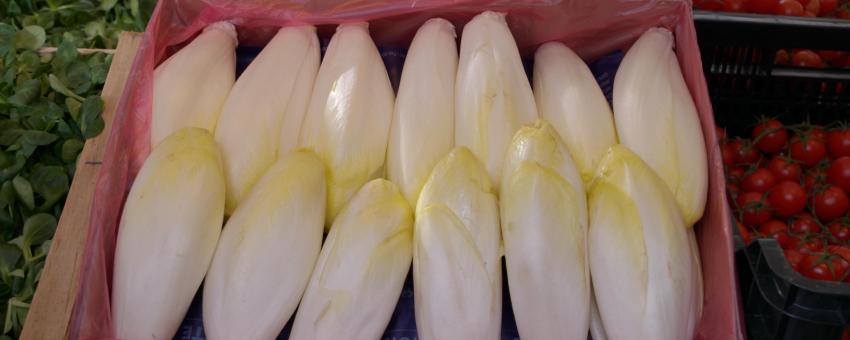 Endives au marché