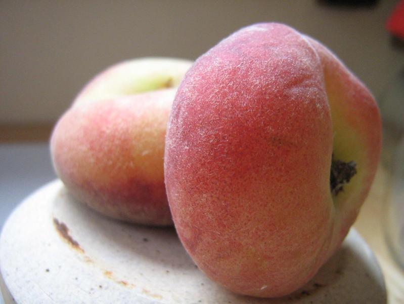 Two flat peaches