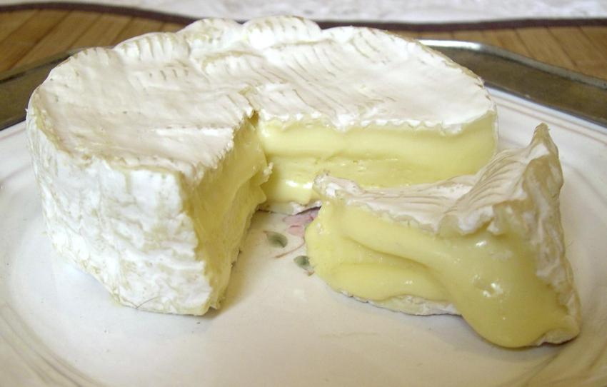 Camembert of Normandy - French cheese
