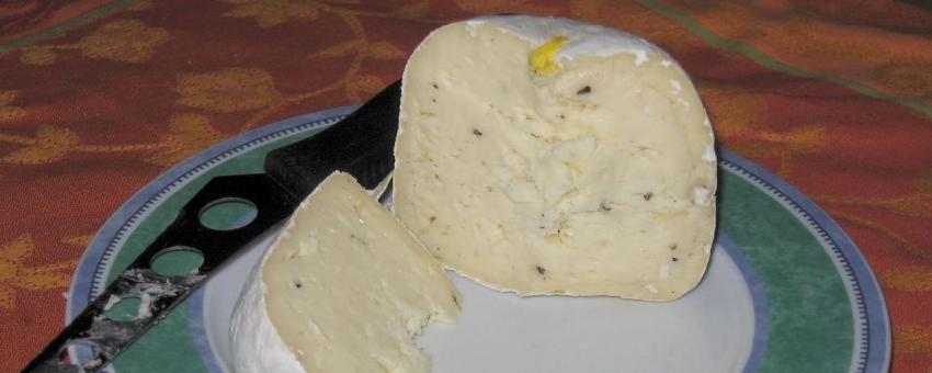 Gaperon, französischer Käse aus der Auvergne.