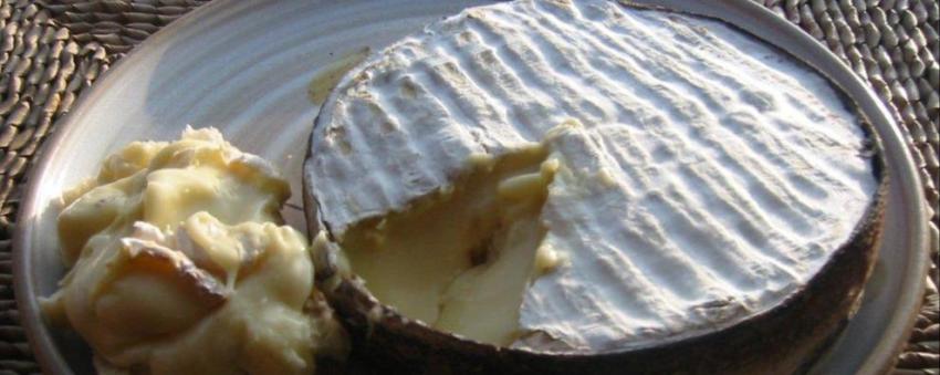 Edel de Cleron - Fromage de la gastronomie Franc Comtoise