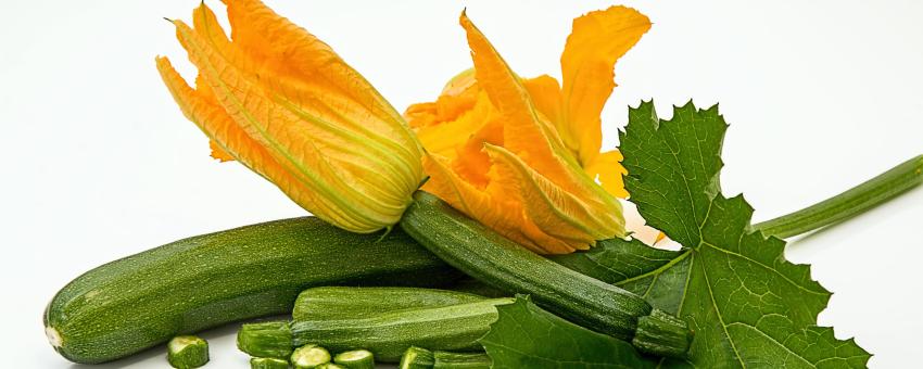 Courgette et fleurs de courgette