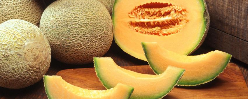 Cantaloupe-Melone (Cucumis melo var. cantalupensis)