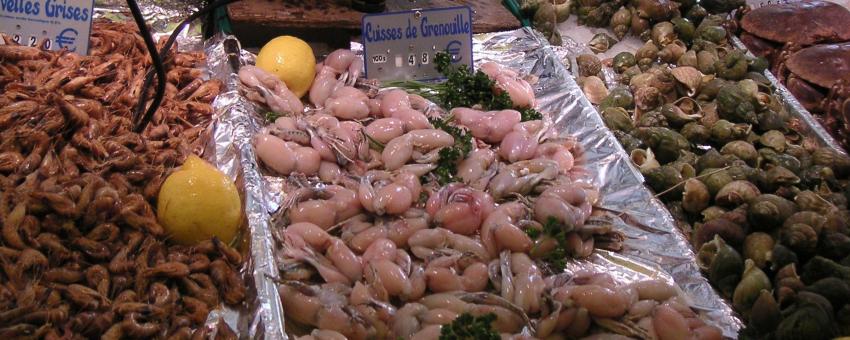 Granotes crues en una parada de peix d'un mercat a París