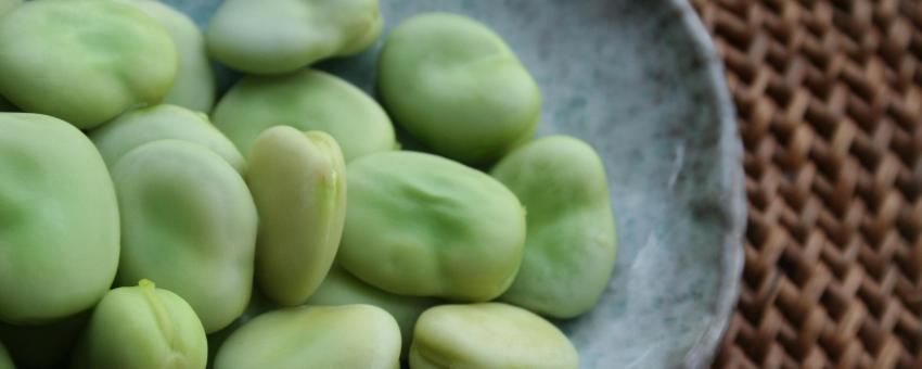 Broad beans, shelled and lightly cooked.  These are often eaten with beer.