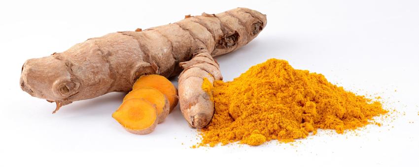 Turmeric (Curcuma longa): fresh rhizome and powder. Stack of 5 images, combined with CombineZP.