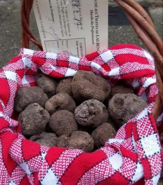 truffles in Lalbenque