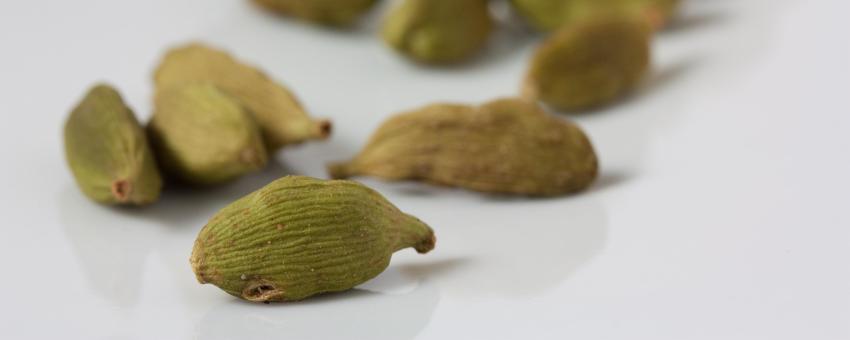 Cardamom Pods