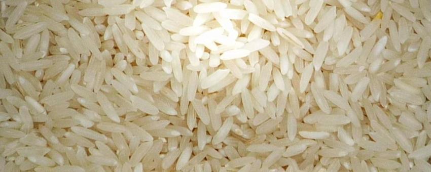 Rice grains (Long).