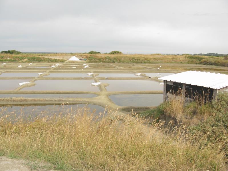Basins for the production of salt in the salt marhes of Guérande, Loire-Atlantique, France.