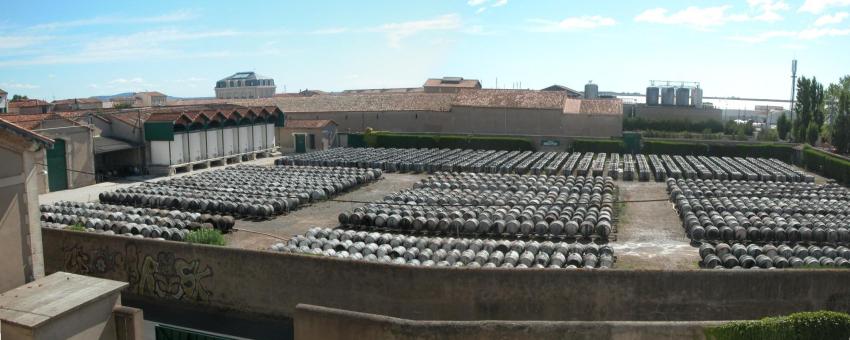 Chais Noilly-Prat à Marseillan - Vue panoramique - Photo personnelle.