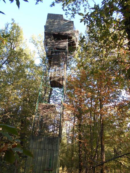 Palombière dans le nontronnais, Dordotne, France.