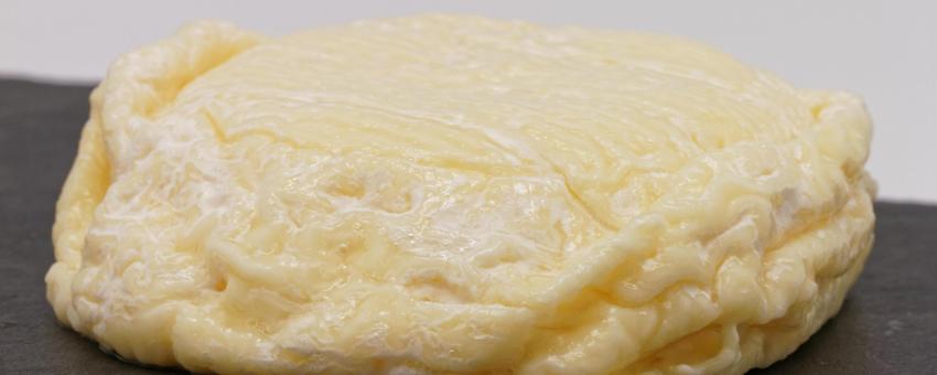 Un Saint-marcellin, fromage du Dauphinois.