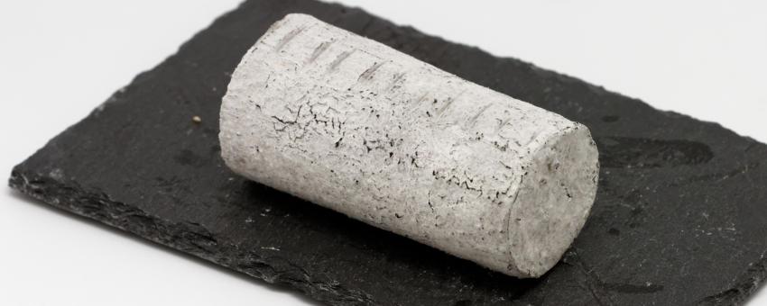 half Sainte-Maure de touraine  (goat's milk cheese)