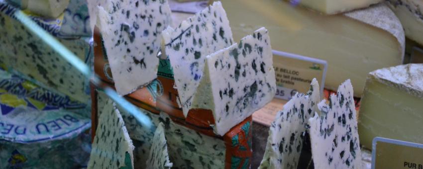 Vitrine de bleus des Causses et de roquefort