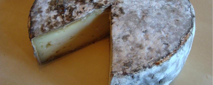 Tome des Bauges (Cheese of Savoie)