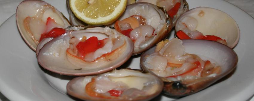 Moluscos, Conchas finas (Callista chione) - Servidos en "El Tintero" (Málaga) - malagueñas