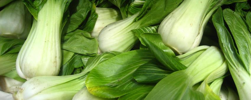 Pak choi