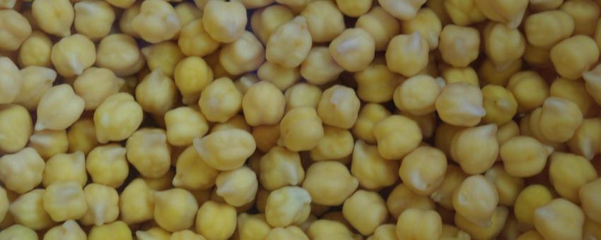 Pois chiches / Chickpeas