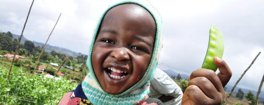 Pic by Neil Palmer (CIAT). Pictures from the Mount Kenya region, for the Two Degrees Up project, to look at the impact of climate change on agriculture.