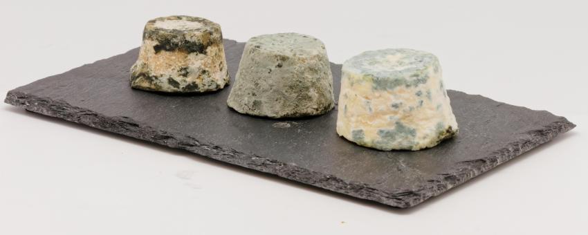 Le Mâconnais, fromage de Saône-et-Loire.