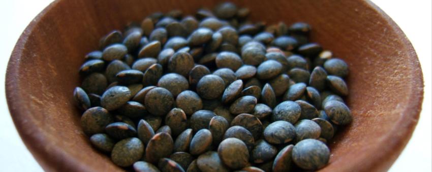 Puy lentils