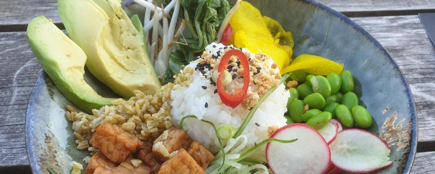 Picture of a Buddha Bowl as ordered in a restaurant (Lot &amp; De Walvis, Leiden)