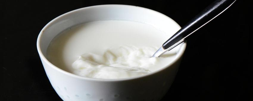 Caillebotte, lait caillé avec de la présure